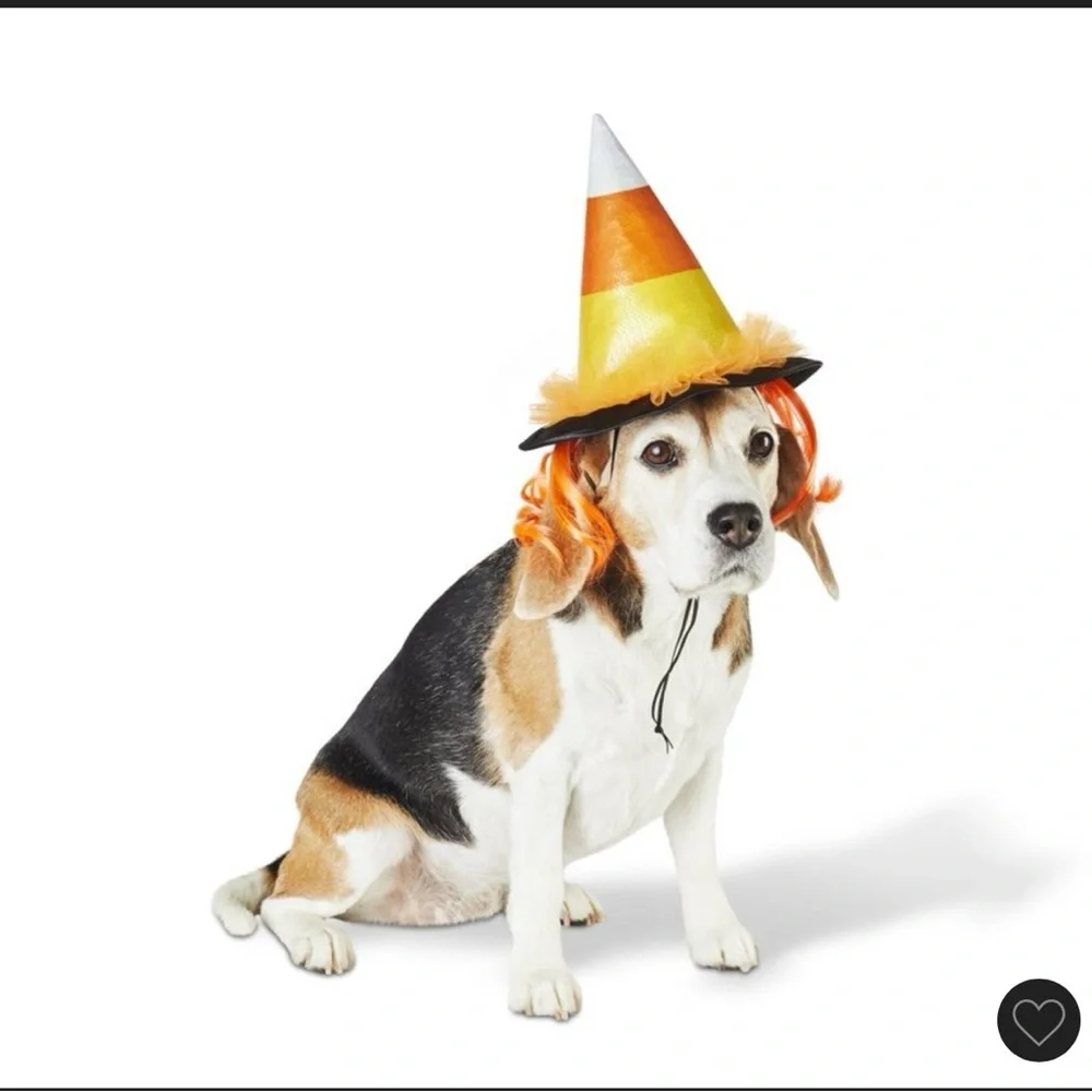 Hyde and Eek! Pet Candy Corn Witch Hat Costume Size S/M New